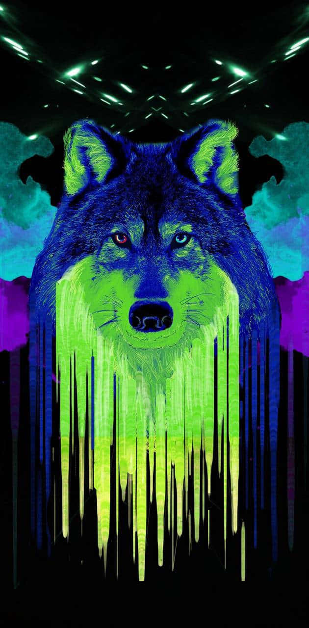 Look And Behold The Beauty Of This Majestic Rainbow Wolf Wallpaper