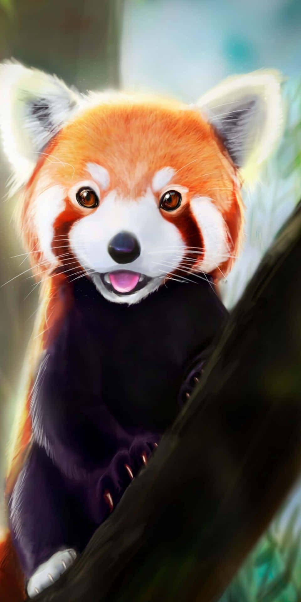 Look At This Adorable Cute Red Panda! Wallpaper