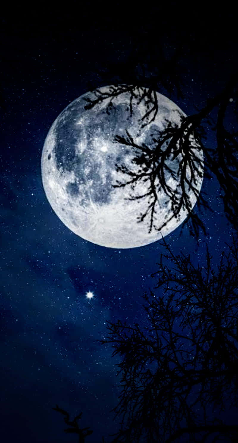 Look Up At The Cool Moon Wallpaper