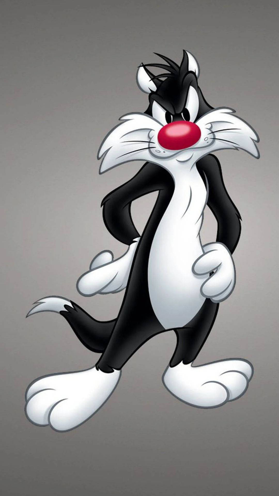 Looney Tunes Sylvester The Cat Cartoon Wallpaper