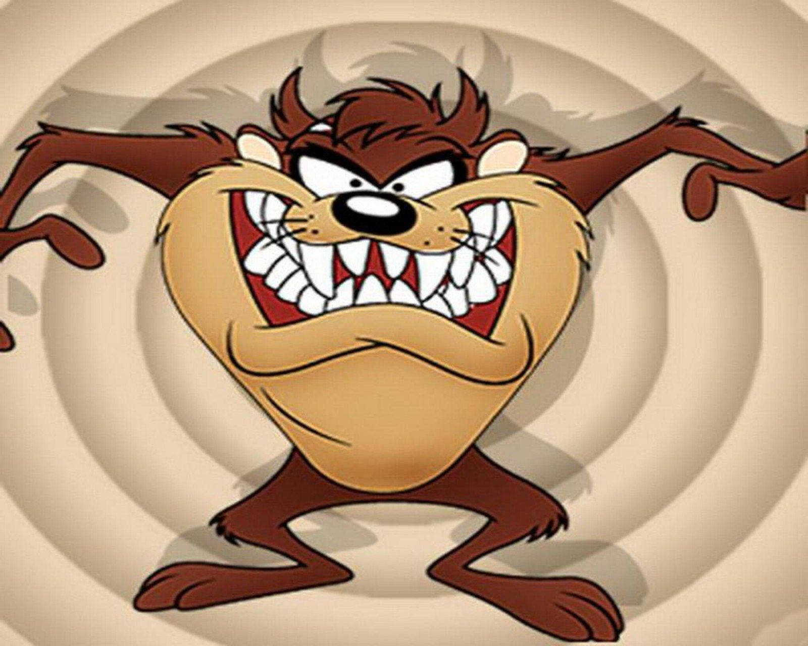 Looney Tunes Tasmanian Devil Cartoon - Hd Wallpaper Wallpaper