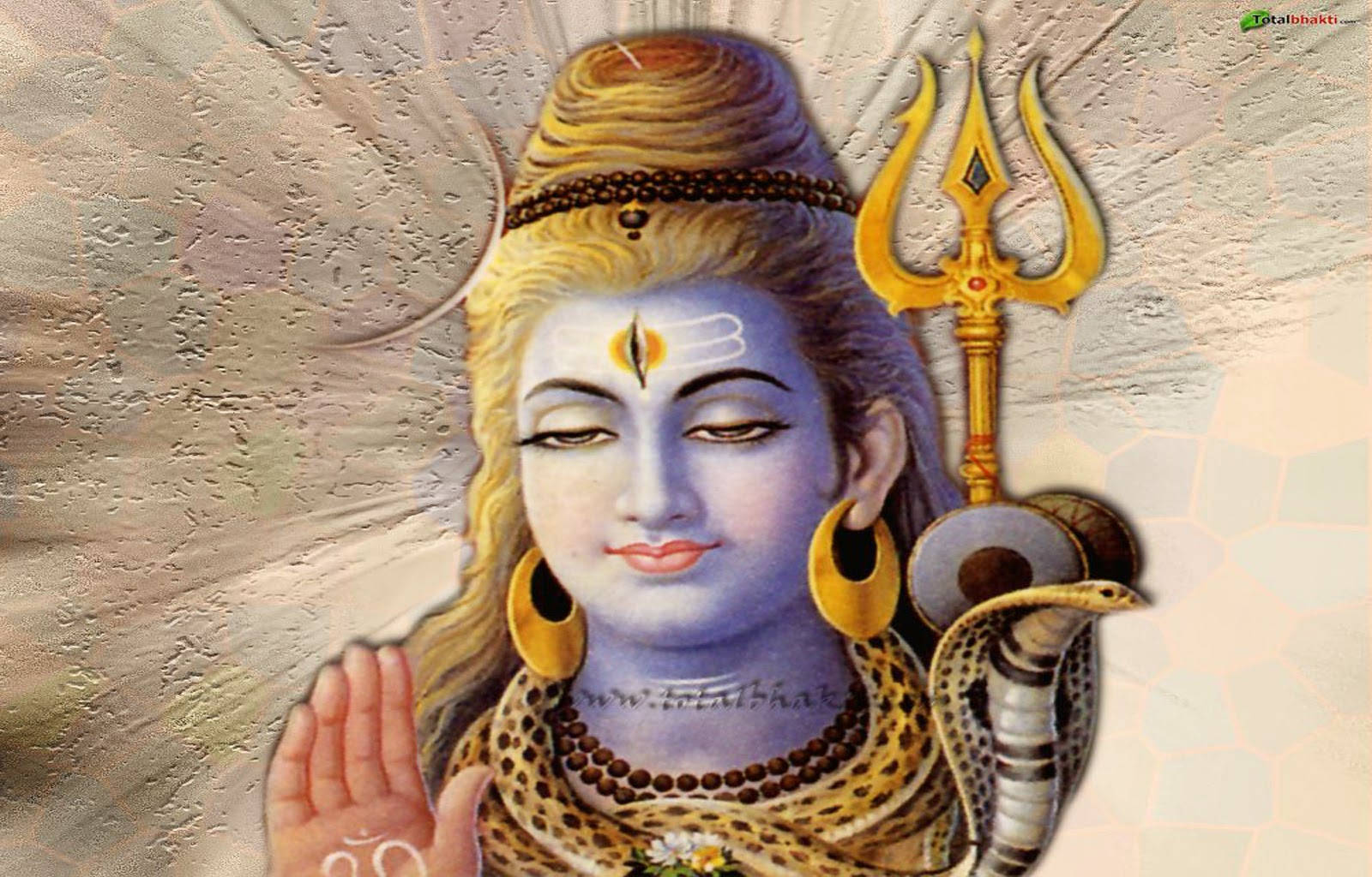 Lord Shiva Gold Earrings Wallpaper