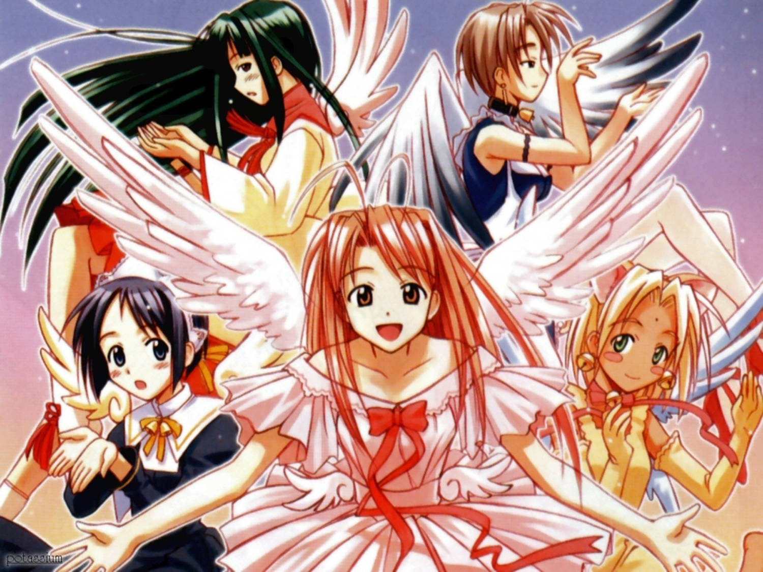 Love Hina With Wings Wallpaper