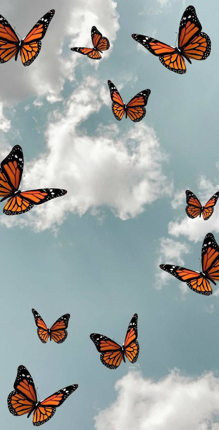 Lovely Butterflies By The Clouds Wallpaper