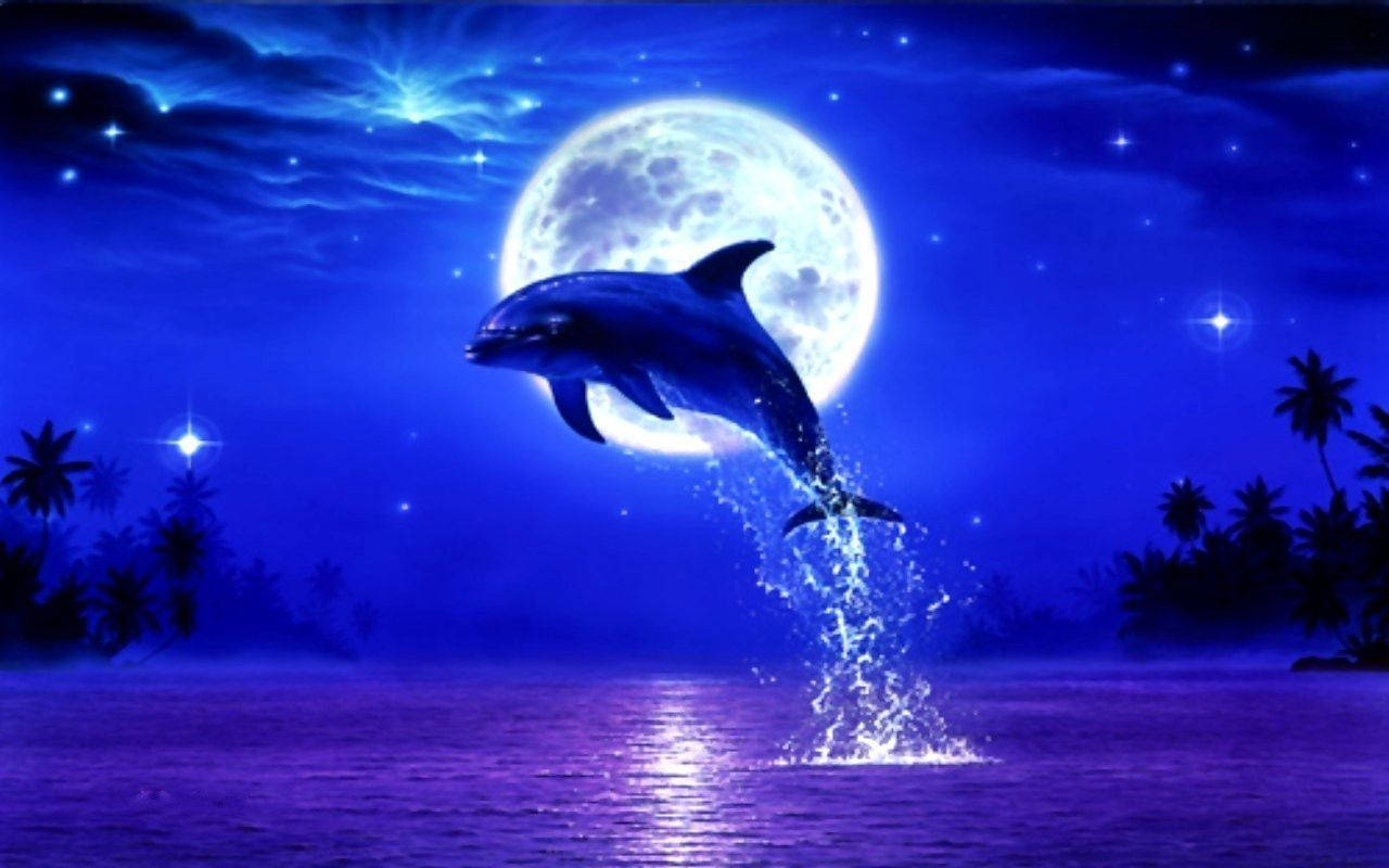 Lucid Nighttide Dolphin Wallpaper