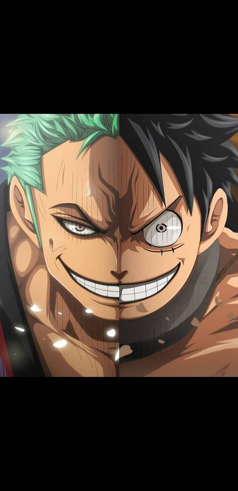 Luffy Zoro Half-face Combined Art Mobile Wallpaper