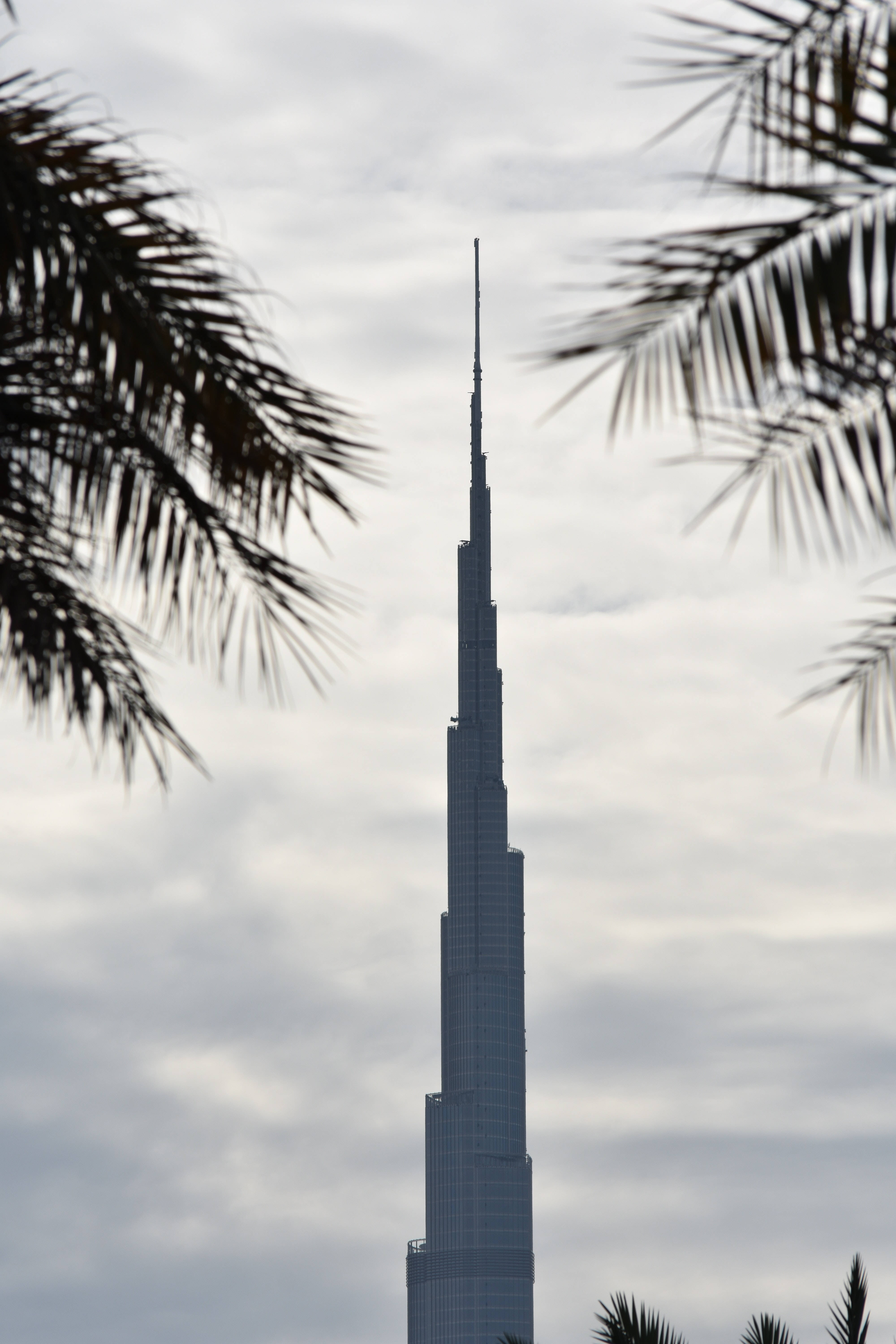 Majestic Burj Khalifa Framed By Lush Palm Trees Wallpaper