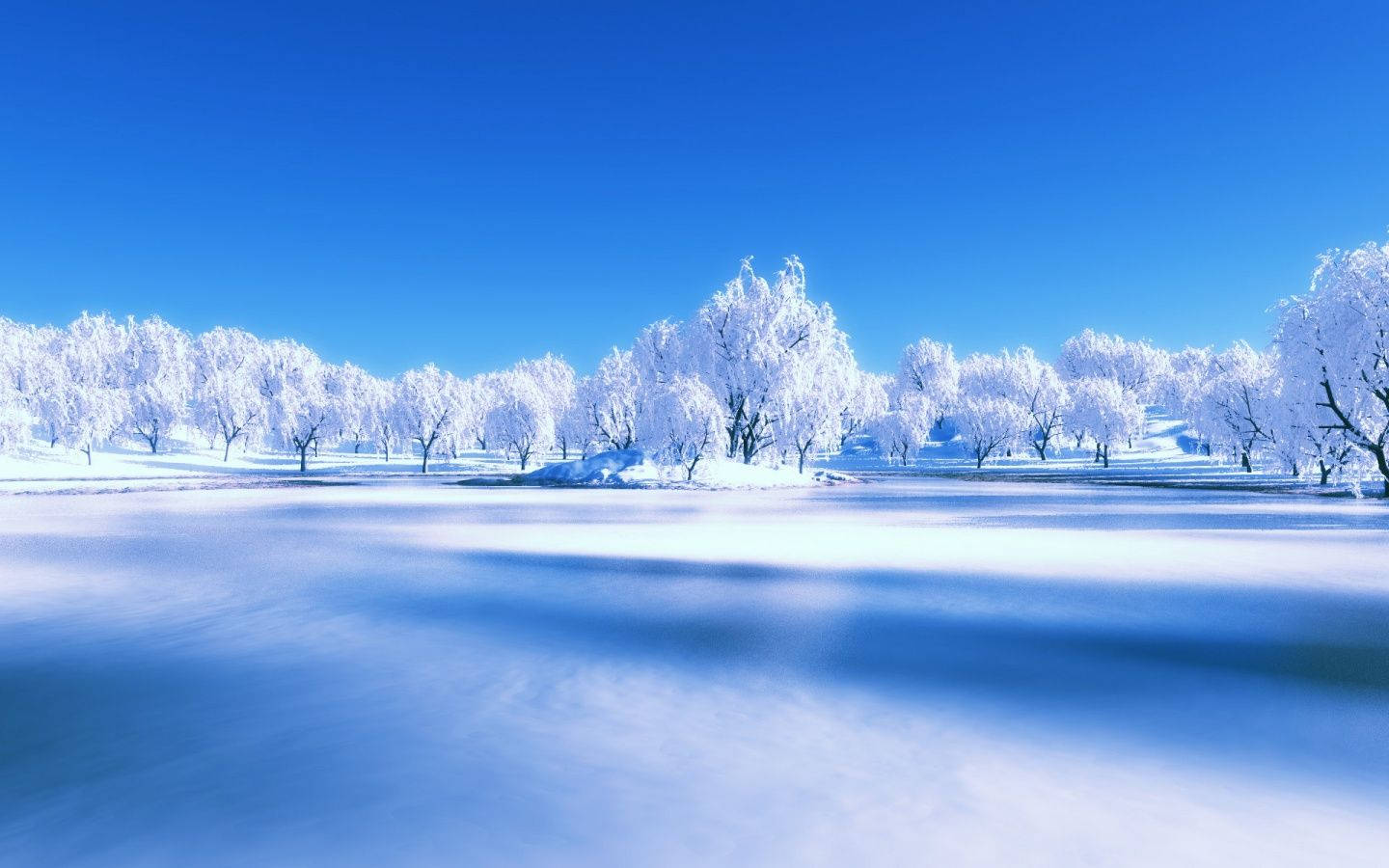 Majestic Frosty Trees Adorning The Winter Scenery Wallpaper