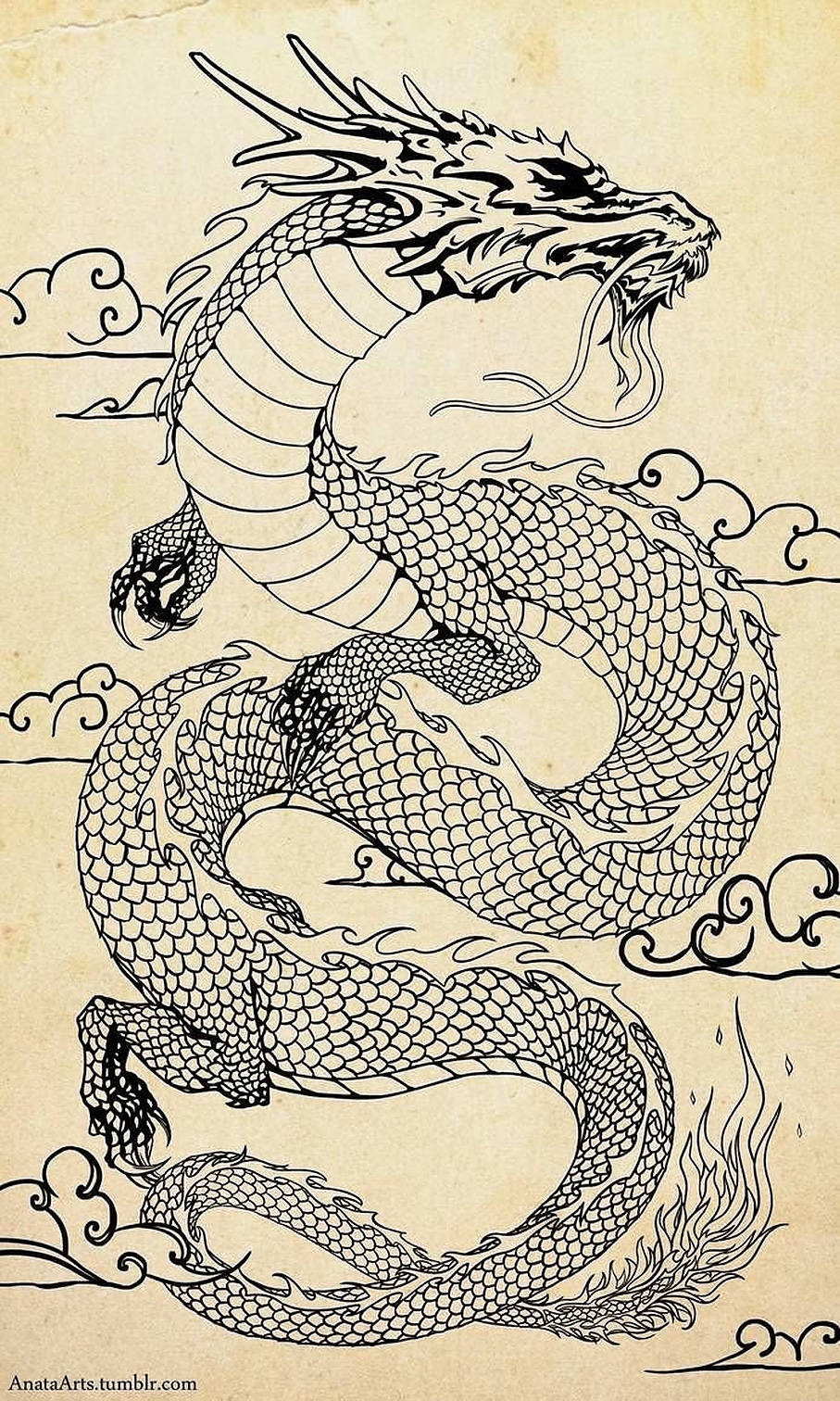 Majestic Japanese Dragon Tattoo Sketch Wallpaper
