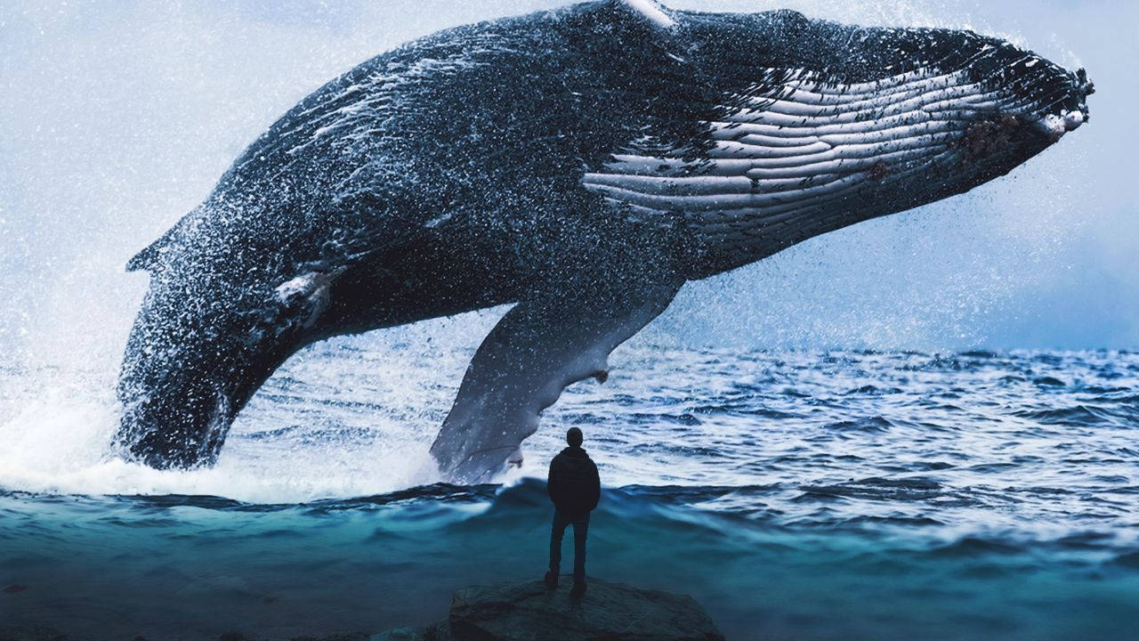 Majestic Whale In Deep Blue Ocean Wallpaper