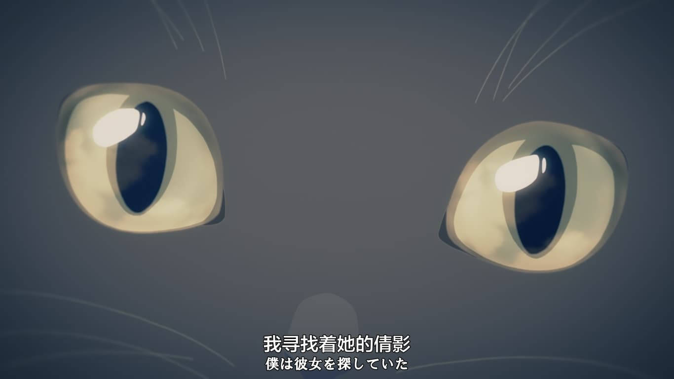 Makoto Shinkai Daru She And Her Cat Wallpaper