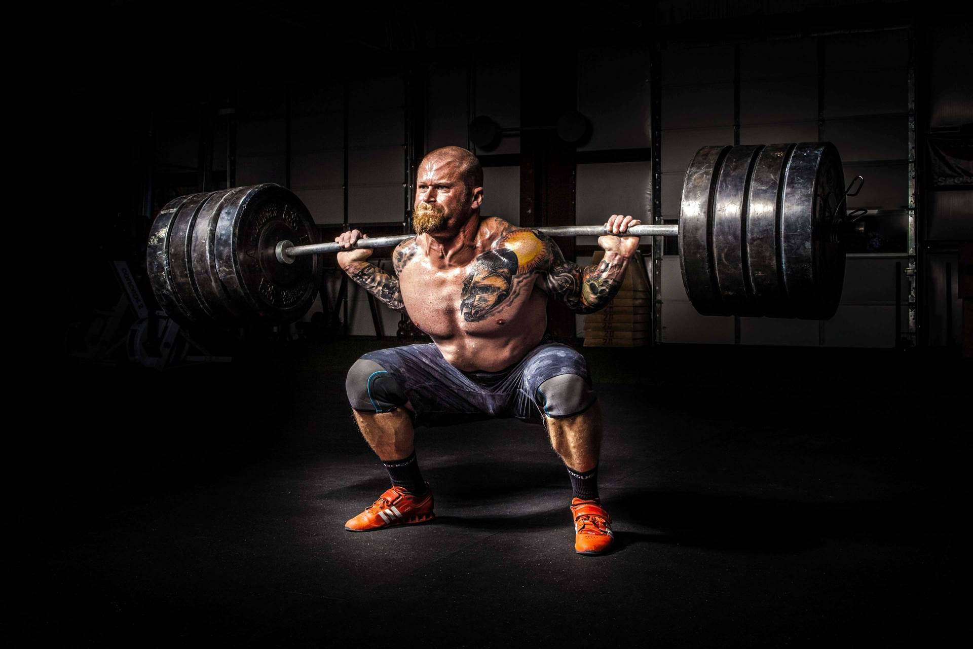 Black and White Images Hand Holding Dumbbell in the Gym. Stock Image -  Image of hand, biceps: 118548421