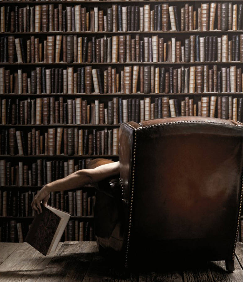 Man Selecting Book From Large Bookshelf Wallpaper