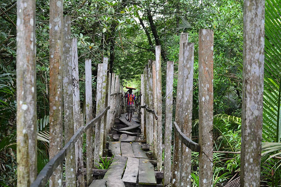 Man Walking Through The Mangroves In Cameroon Wallpaper