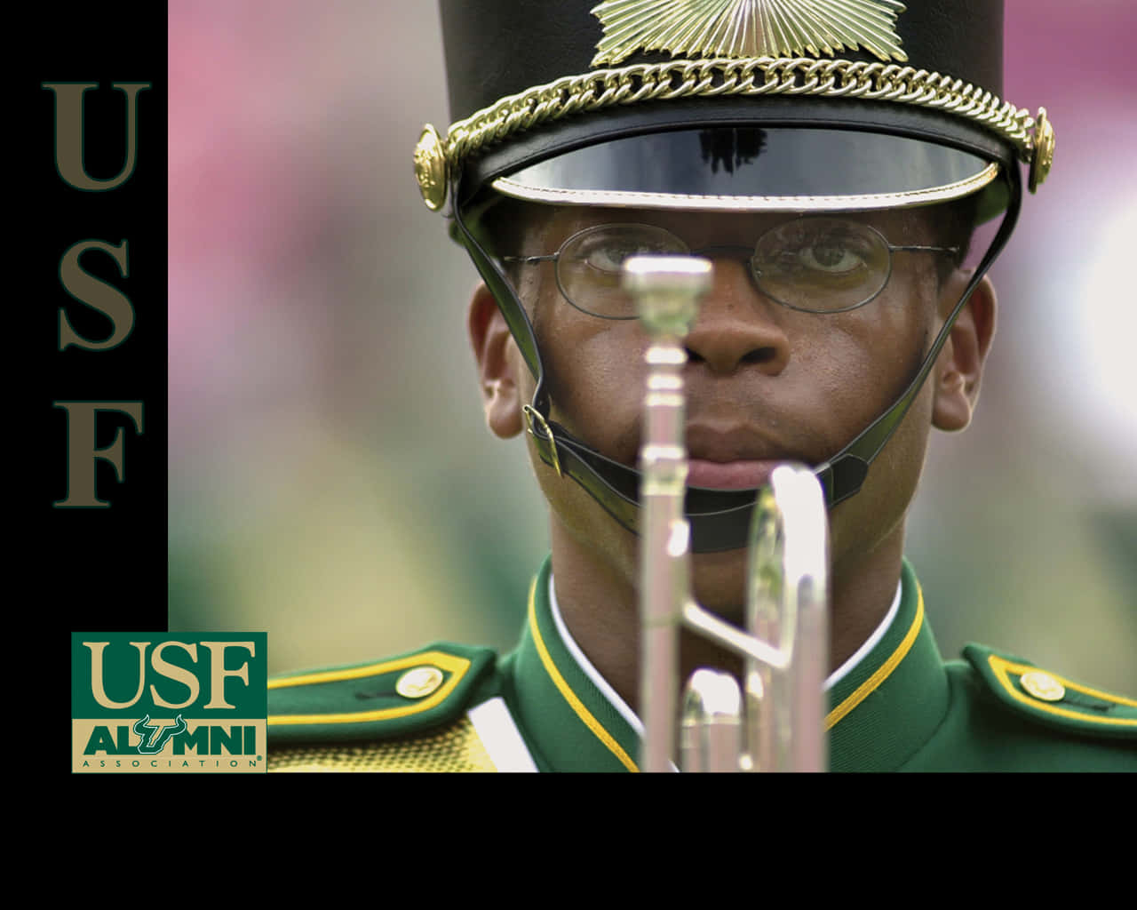 Marching Band Of The University Of South Florida At An Alumni Event Wallpaper