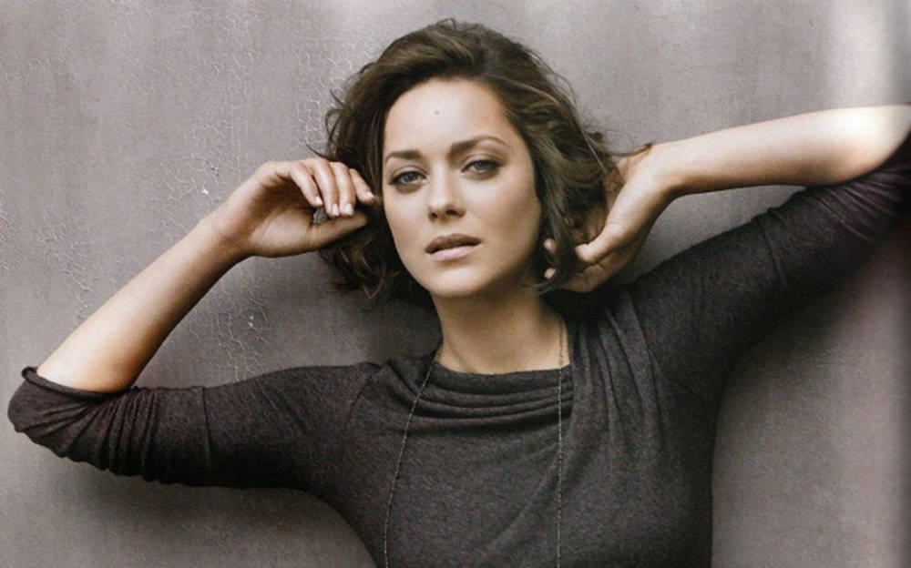 Marion Cotillard In Gray Wallpaper