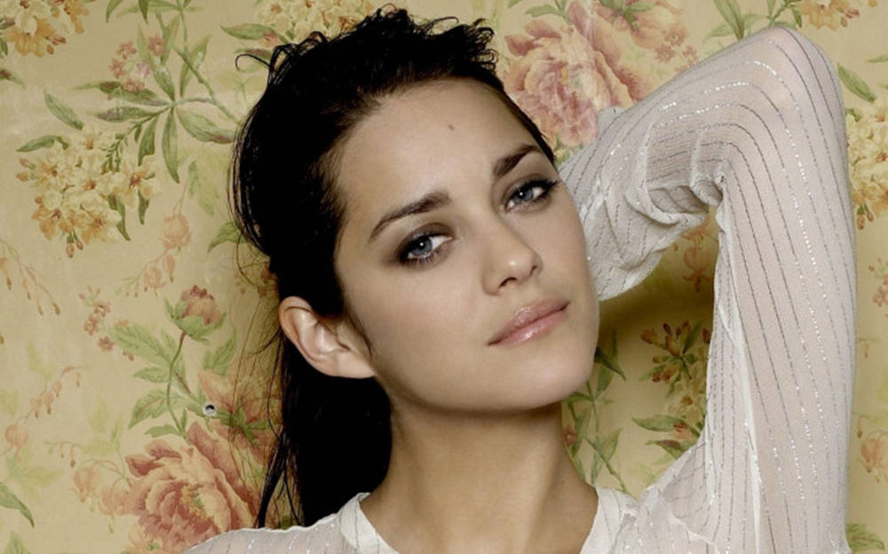 Marion Cotillard Stunning Portrait Wallpaper