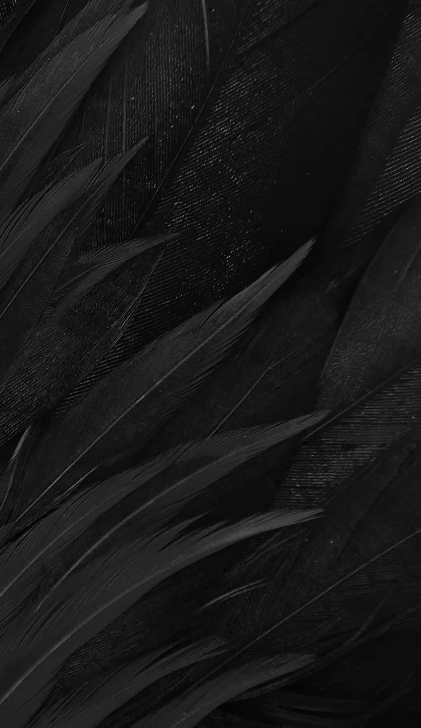 Matte Black Texture Background Wallpaper