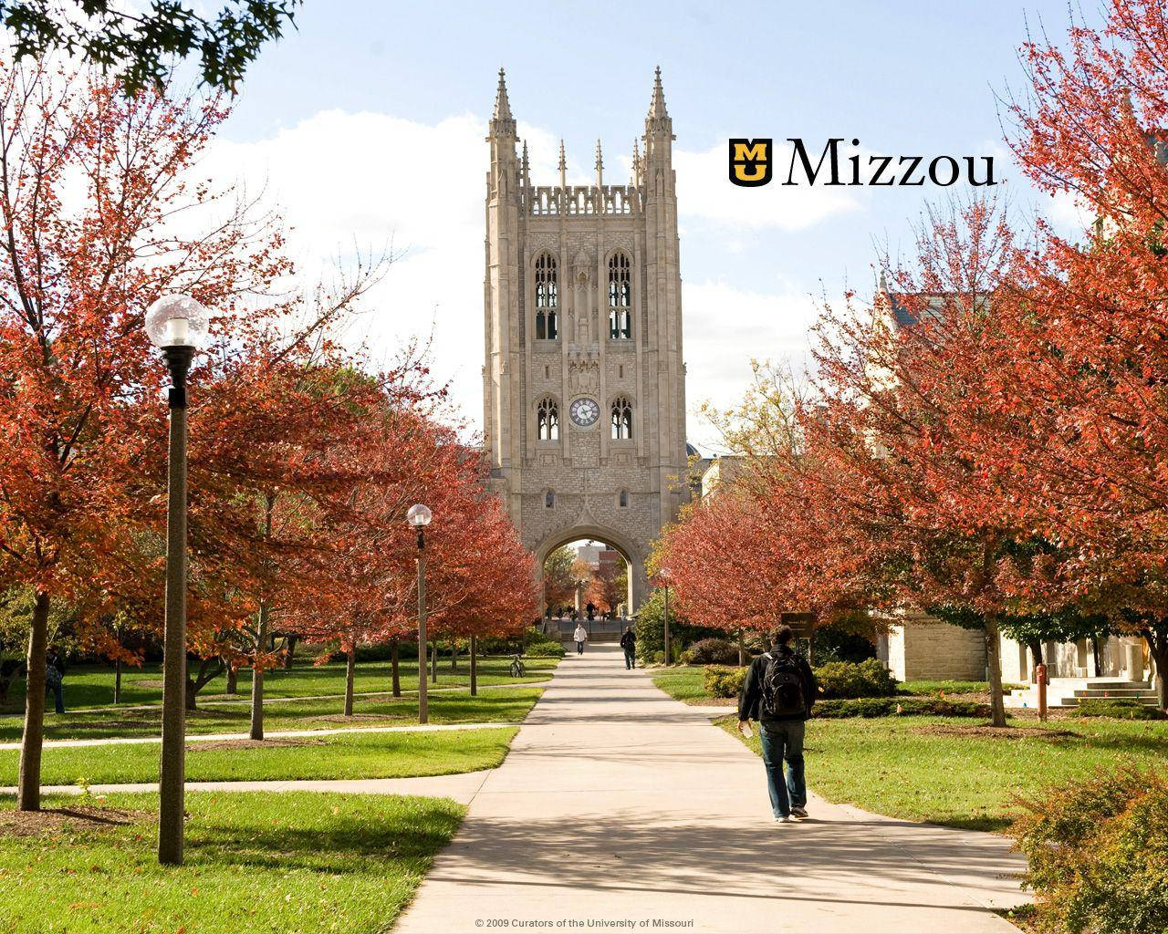 Memorial Union University Of Missouri Pink Trees Wallpaper