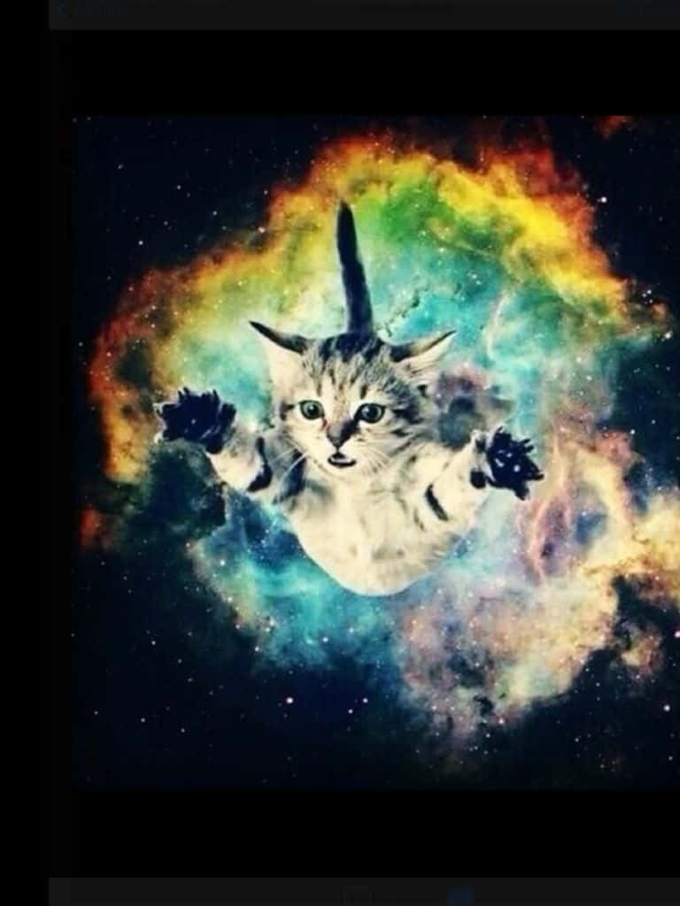 “meow In The Final Frontier: Cats Exploring The Universe!” Wallpaper