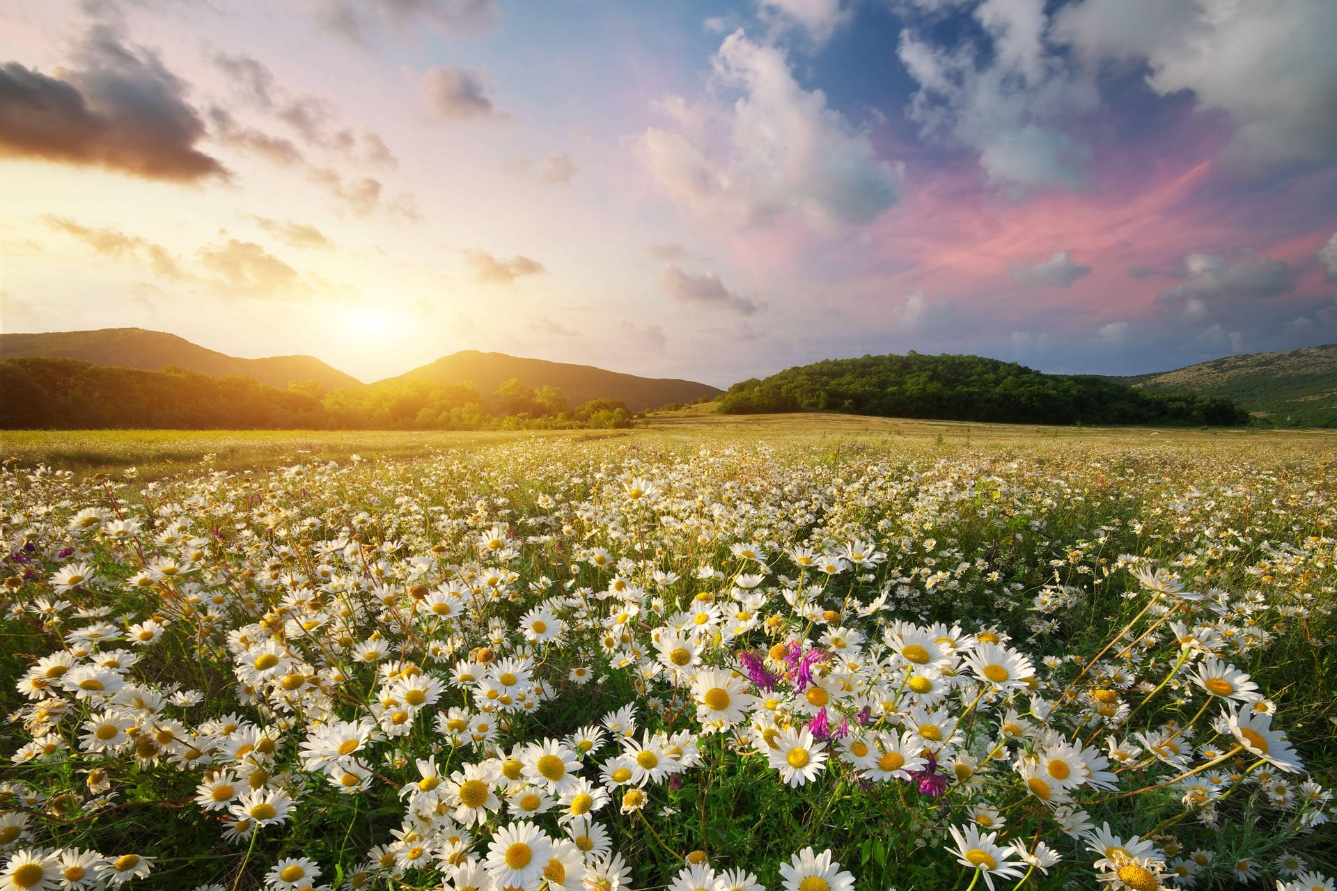 Mesmerizing 4k Landscape - Tranquil Wilderness Wallpaper