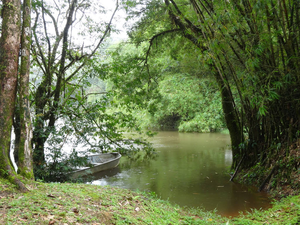 Mesmerizing View Of The La Comté River In French Guiana Wallpaper