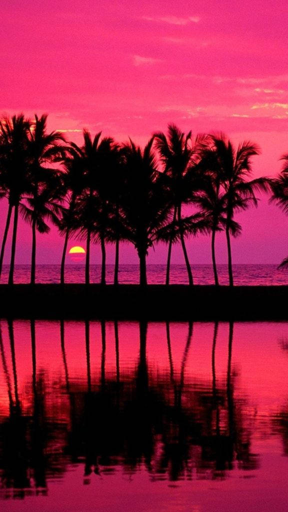 Miami Sunset Pink Iphone Wallpaper
