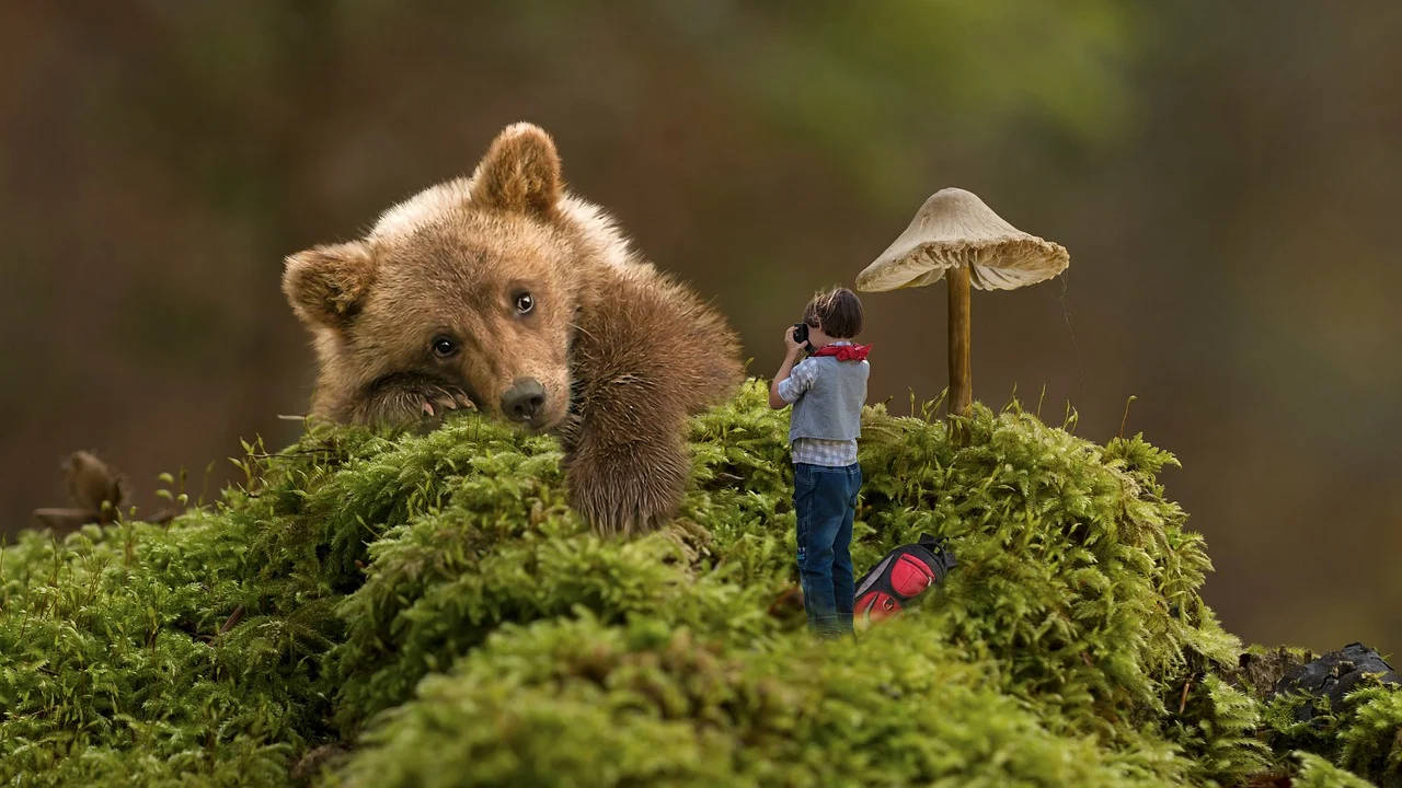Miniature Kodiak Bear Toy In Habitat Wallpaper