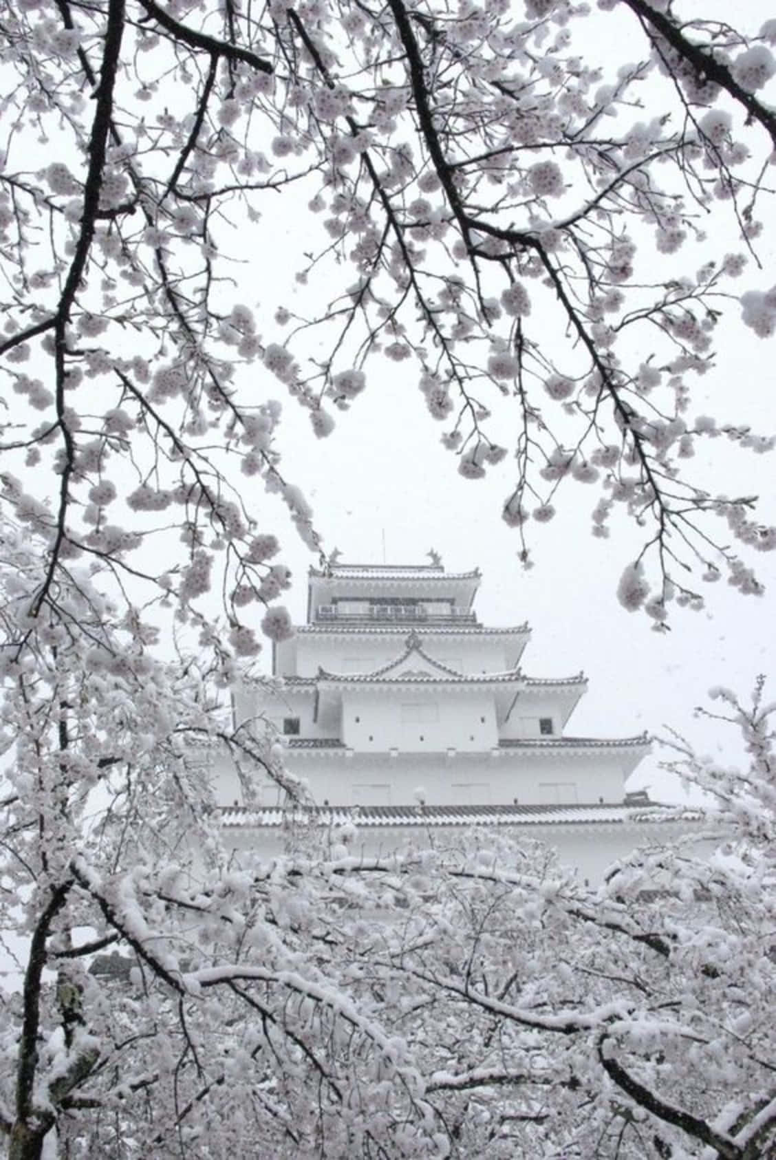 Minimalistic And Peaceful View Of Japan Wallpaper