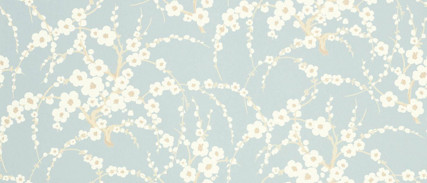 Minimalistic Beauty Of White Floral Wallpaper