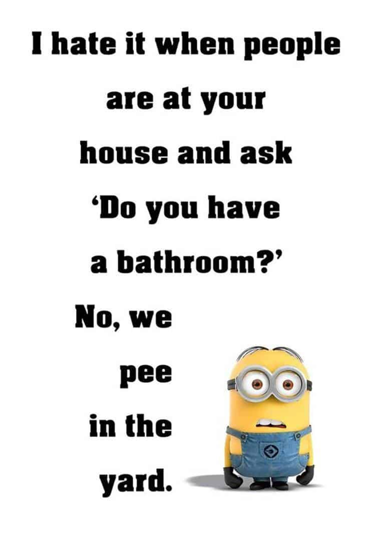 Minion Meme Do You Have A Bathroom Wallpaper