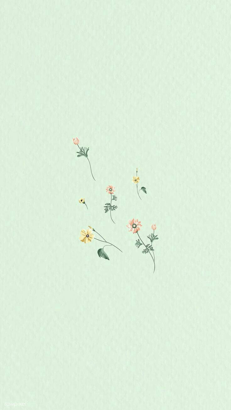 Mint Green Aesthetic Small Flowers Wallpaper