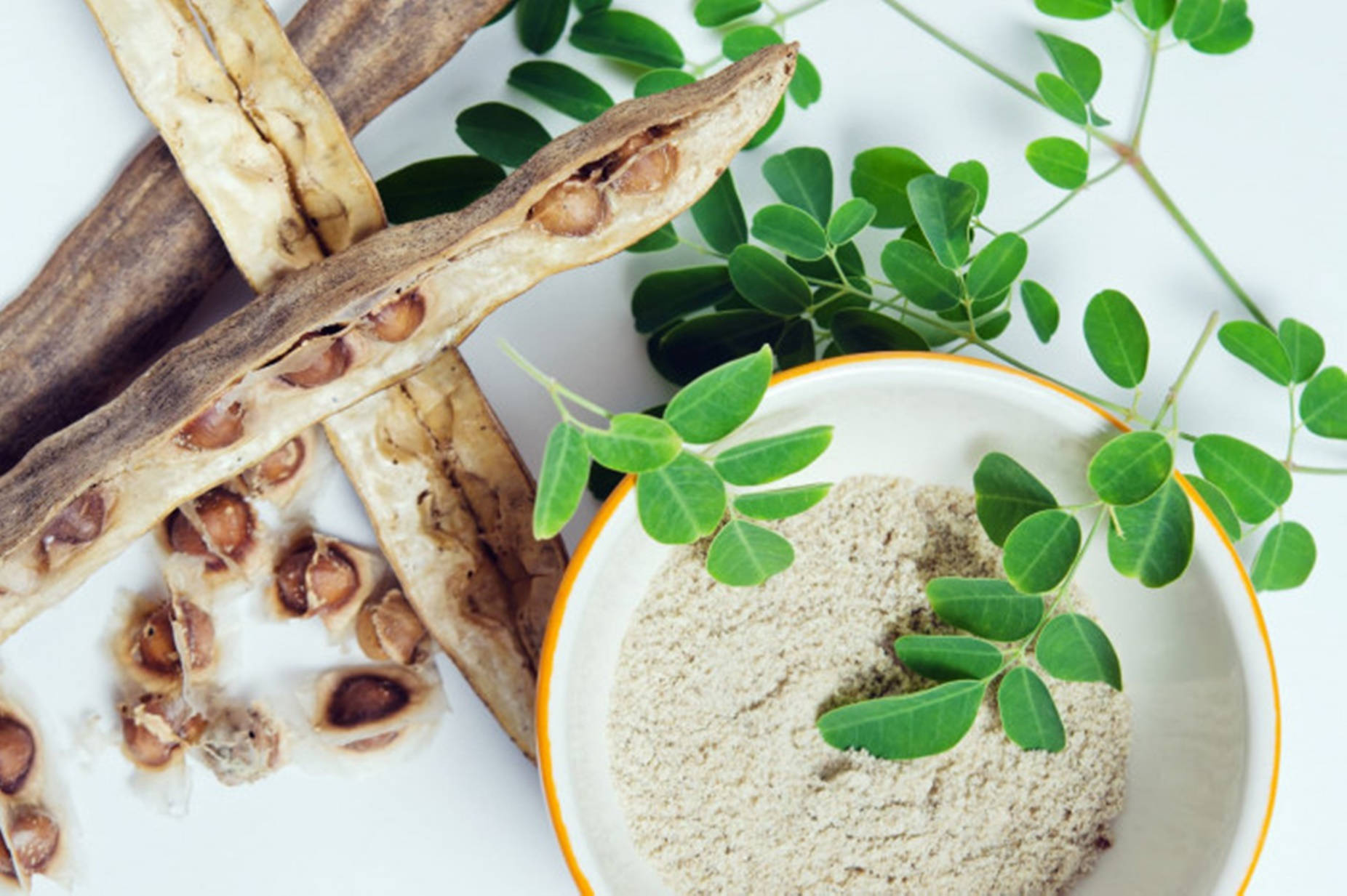 Miracle Moringa Leaves Seed And Powder Wallpaper