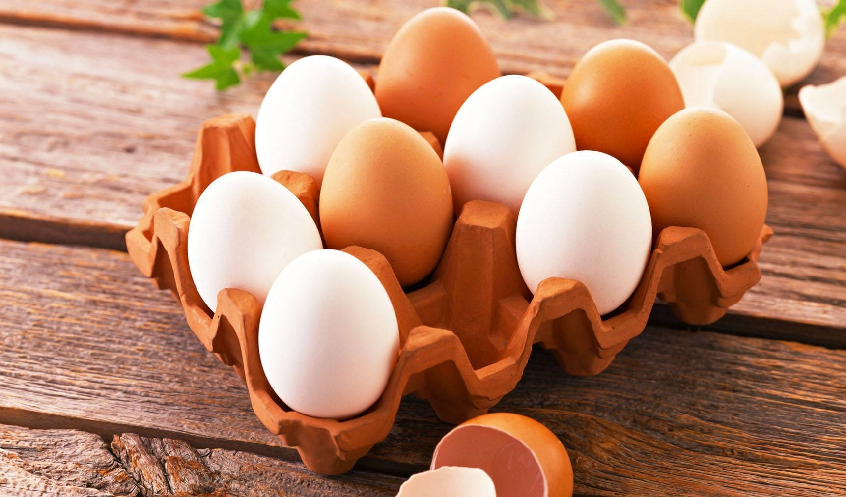 Mixed Batch Of Eggs Wallpaper