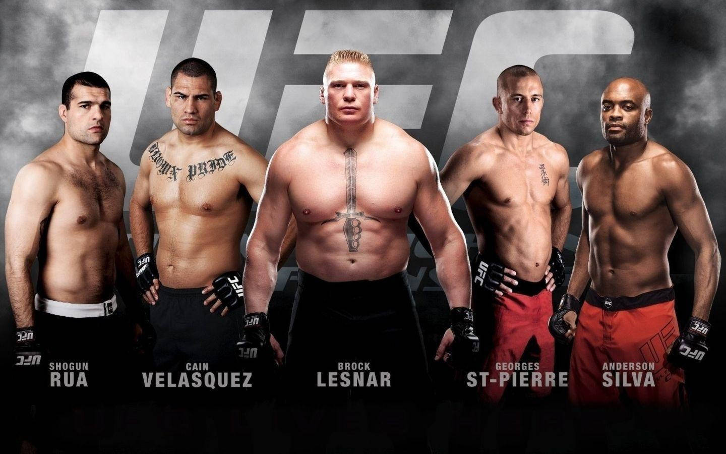 Mma Ufc Fighters Wallpaper