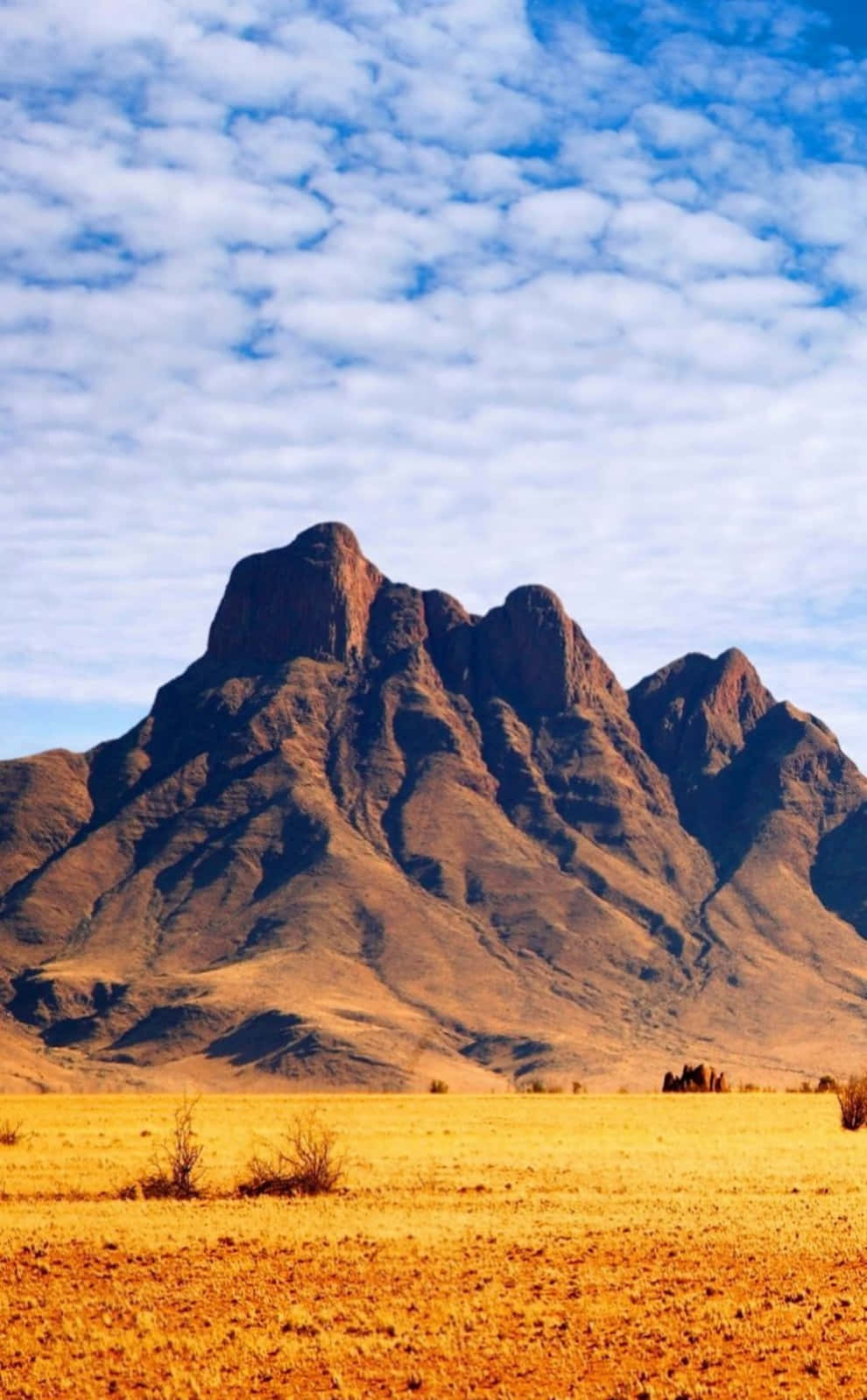 Modern African Phone Technology Wallpaper