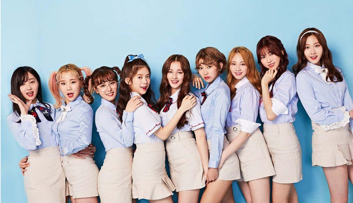 Momoland Group Pose Blue Background Wallpaper