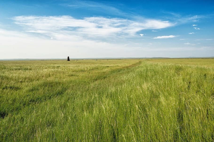 Mongolias Grassland Under Blue Sky Wallpaper