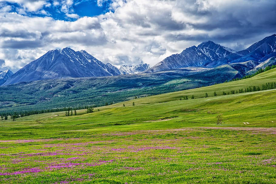 Mongolias Vast Prairie Wallpaper