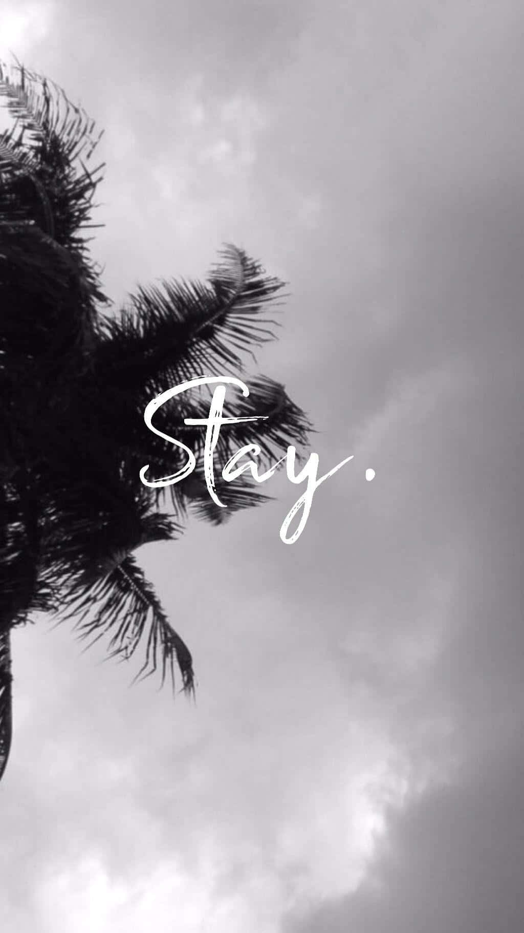 Monochrome Tumblr Photography Iphone Wallpaper