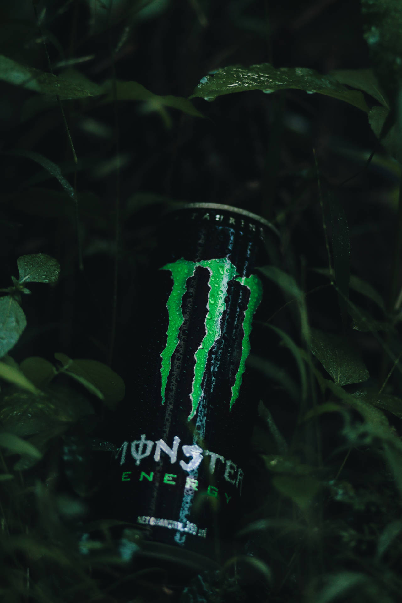 Download free Monster Energy Drink With Leaves Wallpaper - MrWallpaper.com