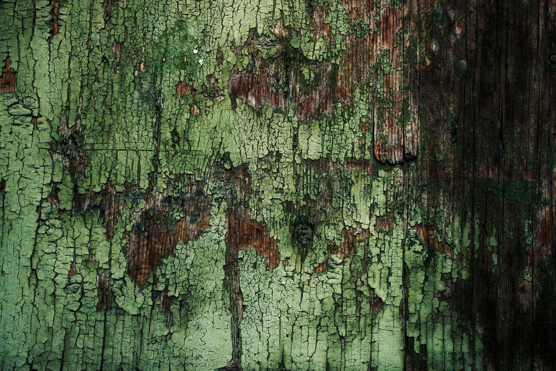 Moody Dark Green Grunge Texture Wallpaper