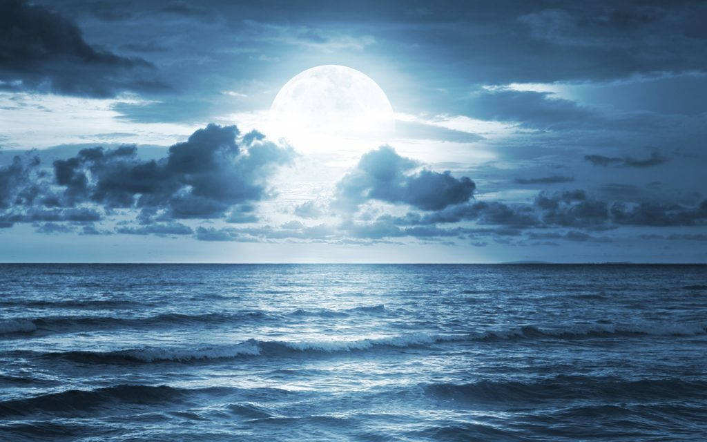 Moonlight Over Vast Ocean Wallpaper
