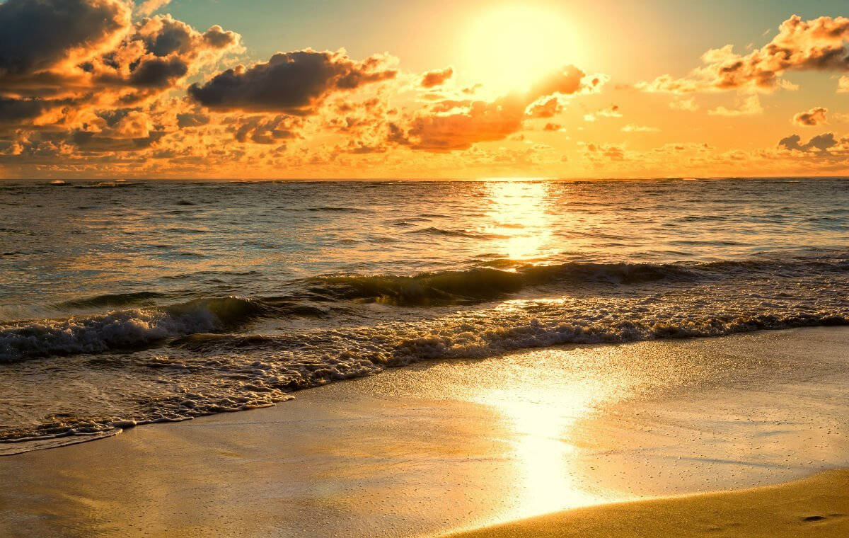 Morning Glory Amid Breathtaking Ocean Wallpaper