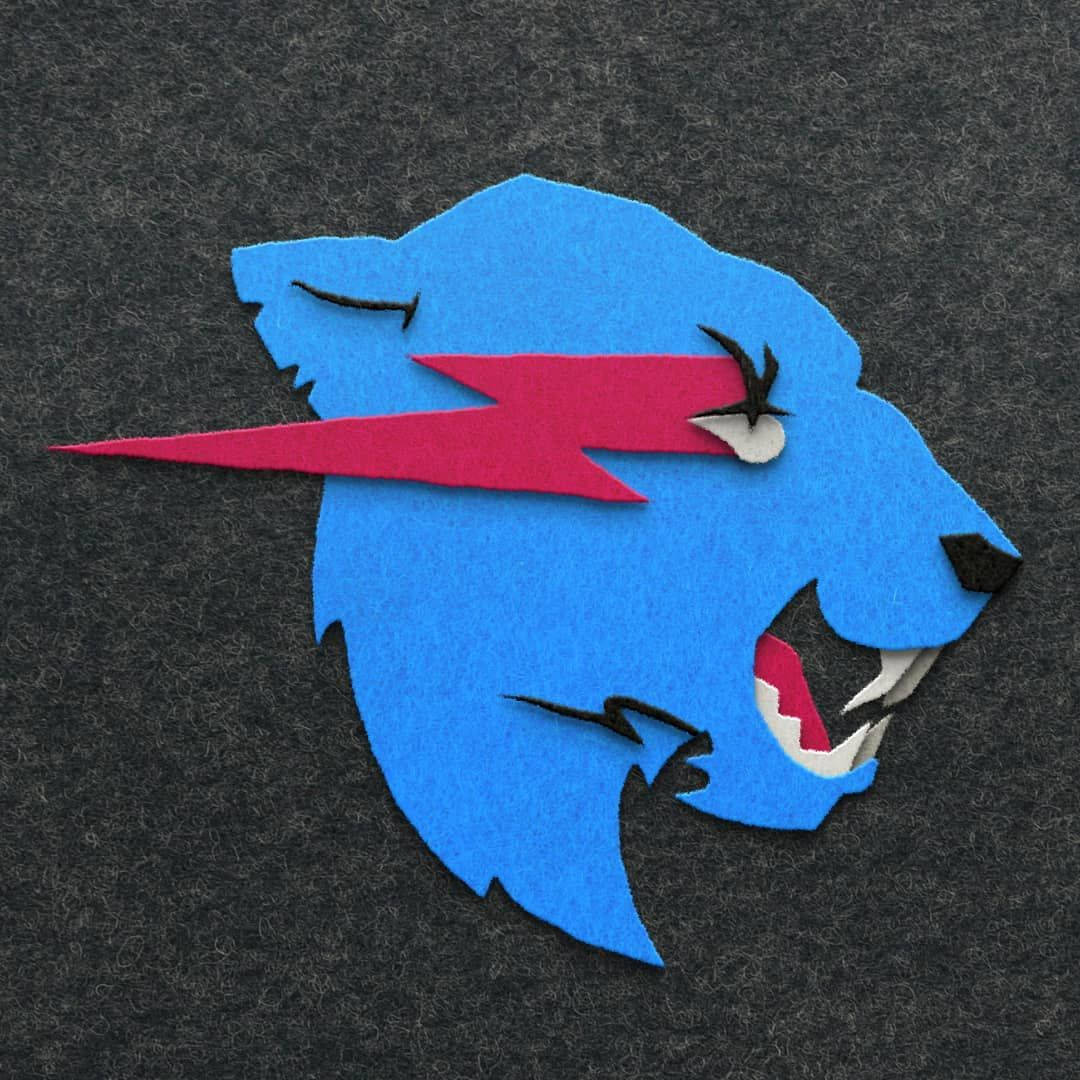 Mr. Beast Iconic Felt Cloth Logo Wallpaper