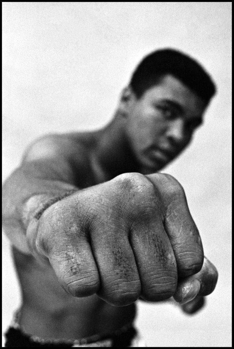 Muhammad Ali Knuckles Portrait Wallpaper