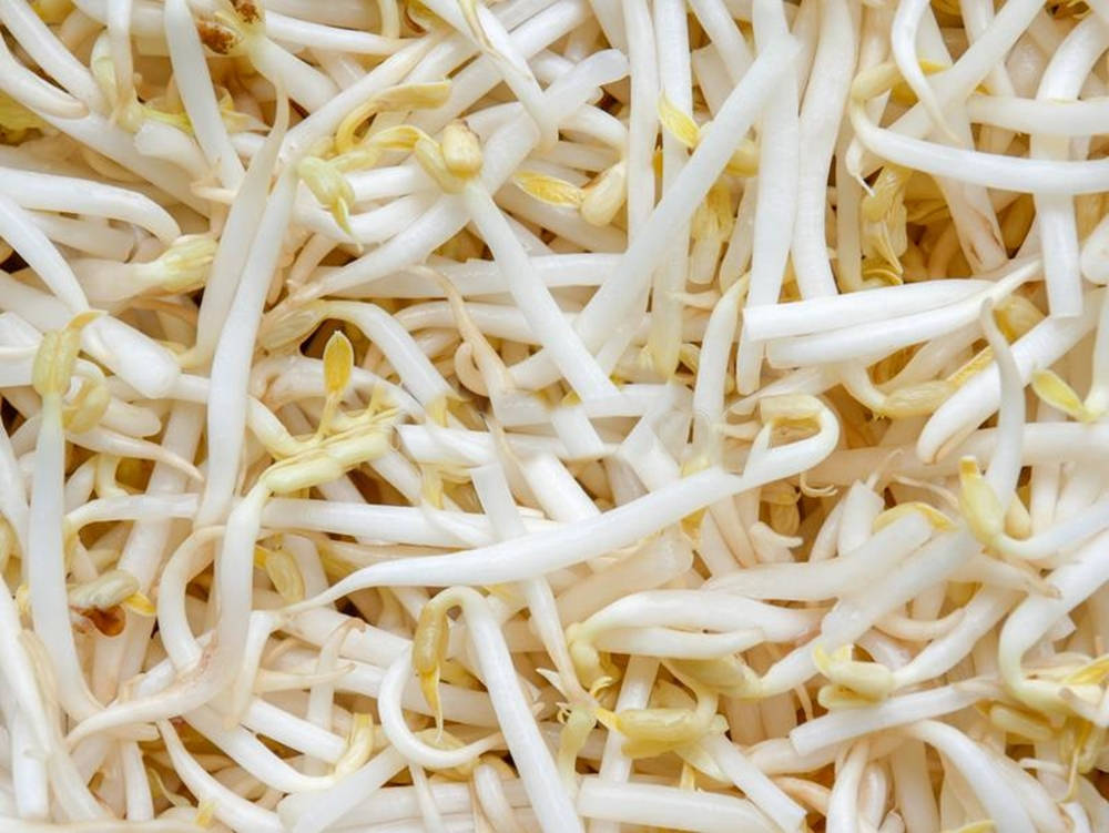 Mung Bean Sprouts Vegetable Macro Shot Wallpaper