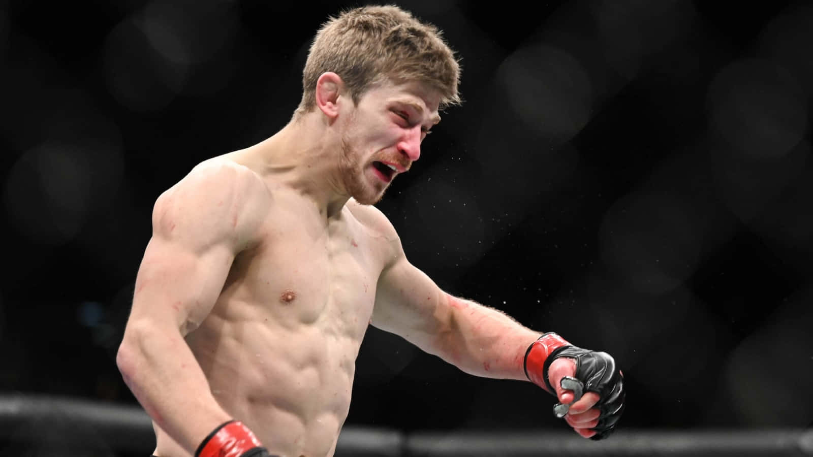Muscles Arnold Allen Wallpaper