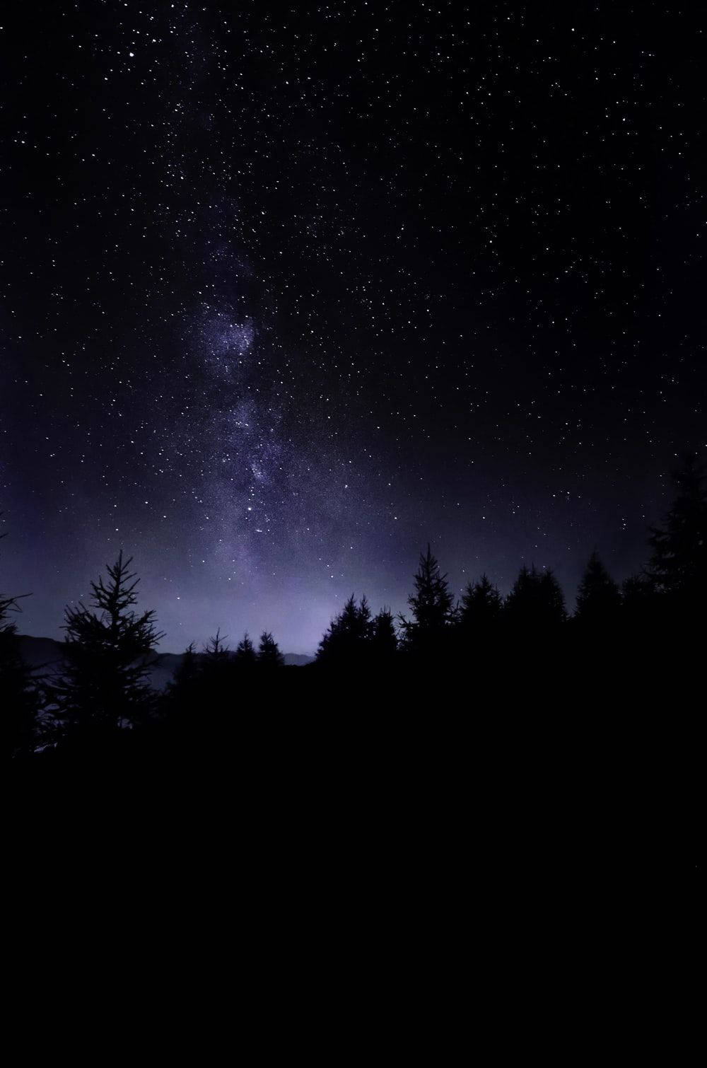 Natural Dark Forest With Starry Sky Wallpaper