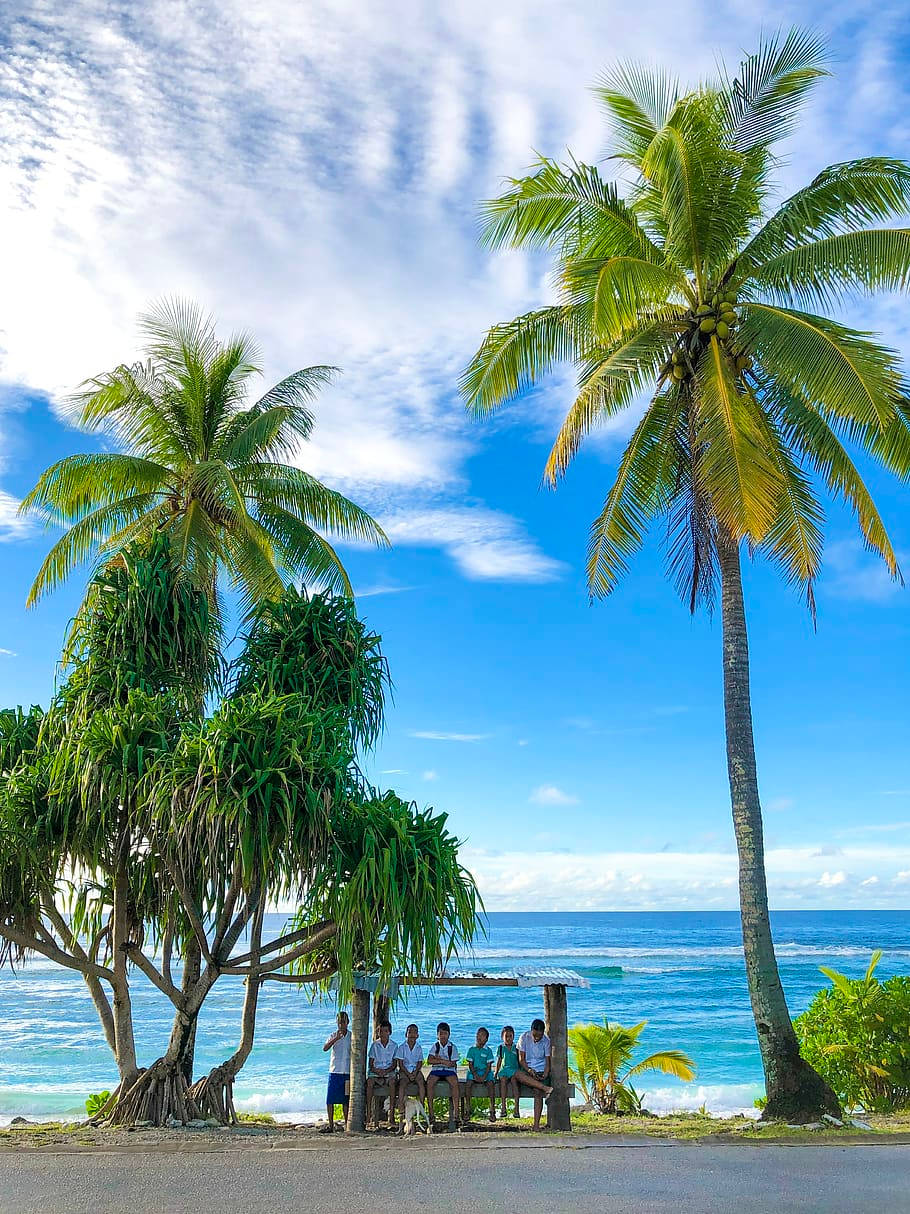 Nauru Wood Shed By The Beach Wallpaper